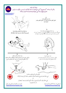 Arabic low literacy information for safe birth with misoprostol