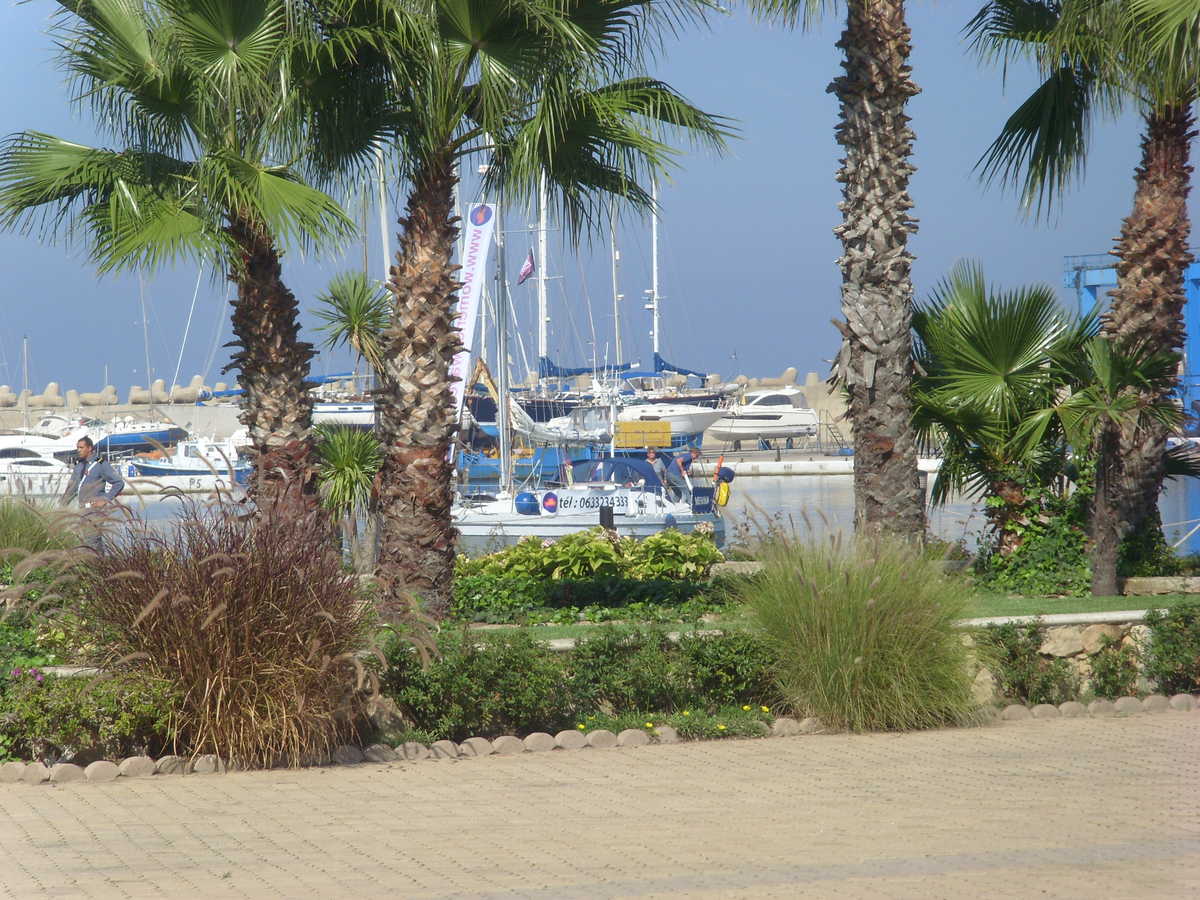 sailing in the harbour