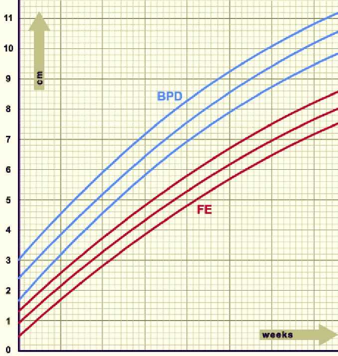 dbp