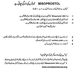 Urdu 2
