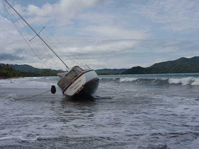 Hamnony at the beach