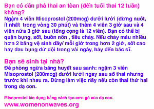 vietnamese misoprostol